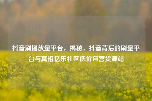 抖音刷播放量平台，揭秘，抖音背后的刷量平台与真相亿乐社区低价自营货源站  第1张