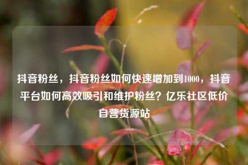 抖音粉丝	，抖音粉丝如何快速增加到1000，抖音平台如何高效吸引和维护粉丝？亿乐社区低价自营货源站  第1张