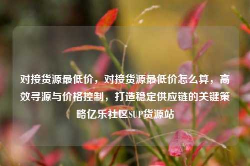 对接货源最低价	，对接货源最低价怎么算，高效寻源与价格控制，打造稳定供应链的关键策略亿乐社区SUP货源站  第1张