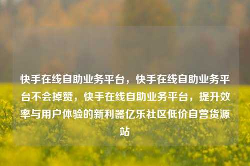 快手在线自助业务平台，快手在线自助业务平台不会掉赞，快手在线自助业务平台，提升效率与用户体验的新利器亿乐社区低价自营货源站  第1张