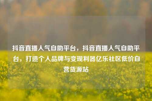 抖音直播人气自助平台，抖音直播人气自助平台，打造个人品牌与变现利器亿乐社区低价自营货源站  第1张