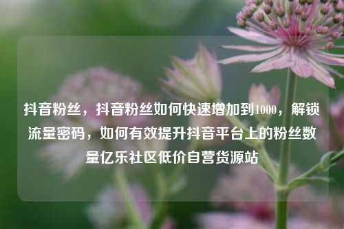 抖音粉丝，抖音粉丝如何快速增加到1000，解锁流量密码	，如何有效提升抖音平台上的粉丝数量亿乐社区低价自营货源站  第1张
