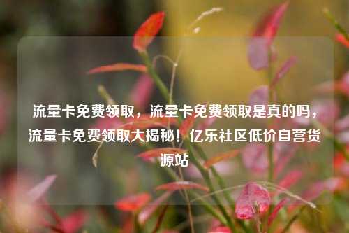 流量卡免费领取，流量卡免费领取是真的吗，流量卡免费领取大揭秘！亿乐社区低价自营货源站  第1张