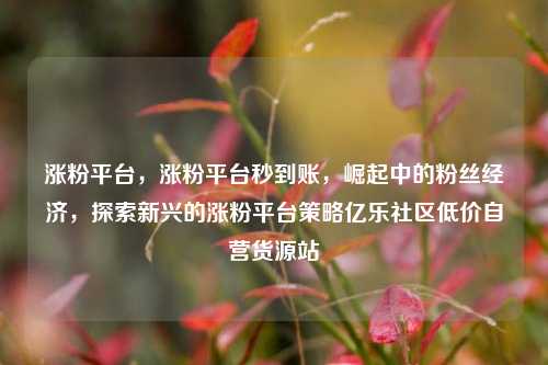 涨粉平台，涨粉平台秒到账	，崛起中的粉丝经济，探索新兴的涨粉平台策略亿乐社区低价自营货源站  第1张