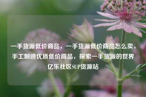 一手货源低价商品	，一手货源低价商品怎么卖，手工制造优质低价商品，探索一手货源的世界亿乐社区SUP货源站  第1张