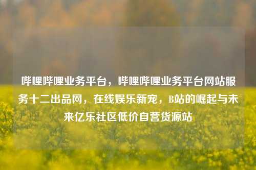 哔哩哔哩业务平台，哔哩哔哩业务平台网站服务十二出品网，在线娱乐新宠	，B站的崛起与未来亿乐社区低价自营货源站  第1张