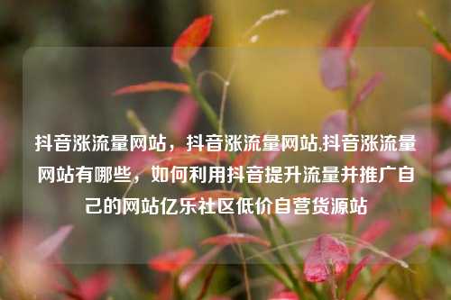 抖音涨流量网站	，抖音涨流量网站,抖音涨流量网站有哪些，如何利用抖音提升流量并推广自己的网站亿乐社区低价自营货源站  第1张