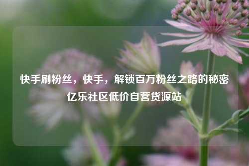 快手刷粉丝，快手，解锁百万粉丝之路的秘密亿乐社区低价自营货源站  第1张