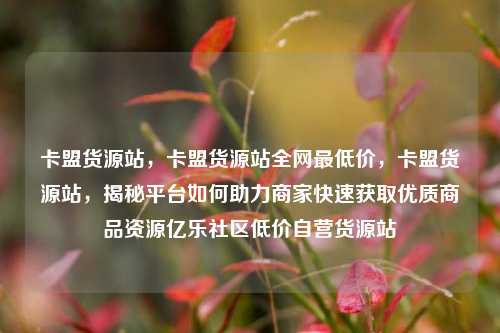 卡盟货源站	，卡盟货源站全网最低价，卡盟货源站，揭秘平台如何助力商家快速获取优质商品资源亿乐社区低价自营货源站  第1张