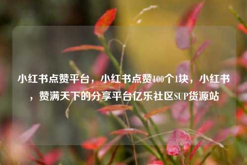 小红书点赞平台，小红书点赞100个1块，小红书	，赞满天下的分享平台亿乐社区SUP货源站  第1张