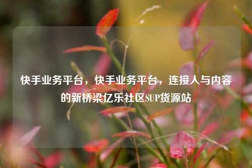 快手业务平台	，快手业务平台，连接人与内容的新桥梁亿乐社区SUP货源站  第1张