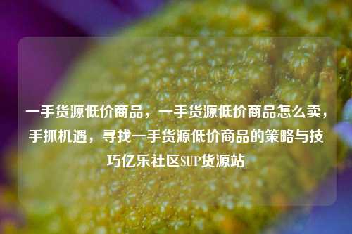 一手货源低价商品	，一手货源低价商品怎么卖，手抓机遇，寻找一手货源低价商品的策略与技巧亿乐社区SUP货源站  第1张