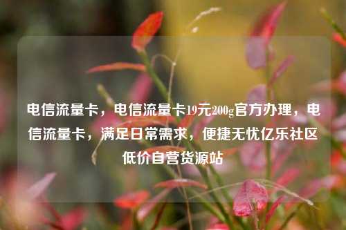 电信流量卡，电信流量卡19元200g官方办理，电信流量卡	，满足日常需求，便捷无忧亿乐社区低价自营货源站  第1张
