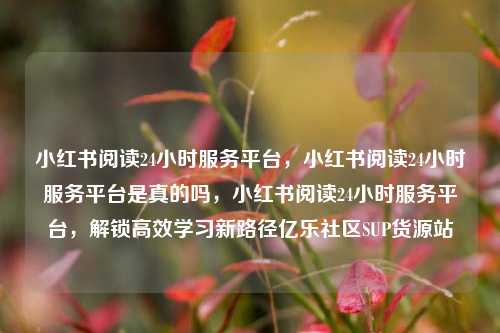 小红书阅读24小时服务平台，小红书阅读24小时服务平台是真的吗	，小红书阅读24小时服务平台，解锁高效学习新路径亿乐社区SUP货源站  第1张