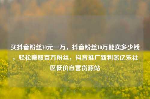 买抖音粉丝10元一万，抖音粉丝10万能卖多少钱	，轻松赚取百万粉丝，抖音推广新利器亿乐社区低价自营货源站  第1张