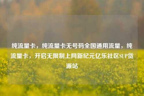 纯流量卡，纯流量卡无号码全国通用流量，纯流量卡	，开启无限制上网新纪元亿乐社区SUP货源站  第1张