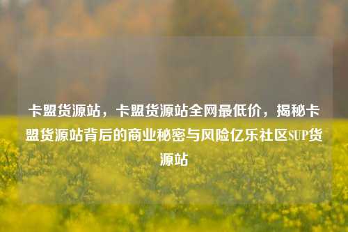 卡盟货源站，卡盟货源站全网最低价，揭秘卡盟货源站背后的商业秘密与风险亿乐社区SUP货源站  第1张