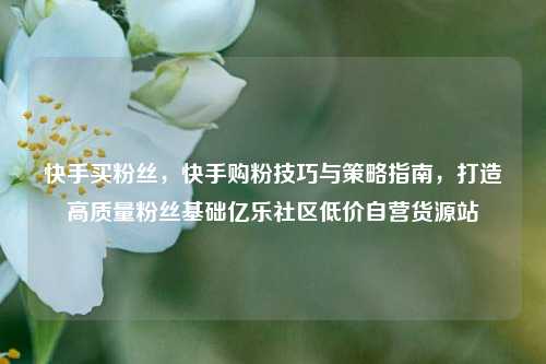 快手买粉丝	，快手购粉技巧与策略指南，打造高质量粉丝基础亿乐社区低价自营货源站  第1张