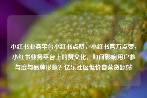 小红书业务平台小红书点赞，小红书官方点赞，小红书业务平台上的赞文化，如何影响用户参与度与品牌形象？亿乐社区低价自营货源站  第1张