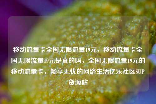 移动流量卡全国无限流量19元，移动流量卡全国无限流量19元是真的吗	，全国无限流量19元的移动流量卡，畅享无忧的网络生活亿乐社区SUP货源站  第1张
