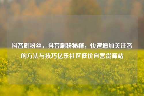 抖音刷粉丝	，抖音刷粉秘籍，快速增加关注者的方法与技巧亿乐社区低价自营货源站  第1张