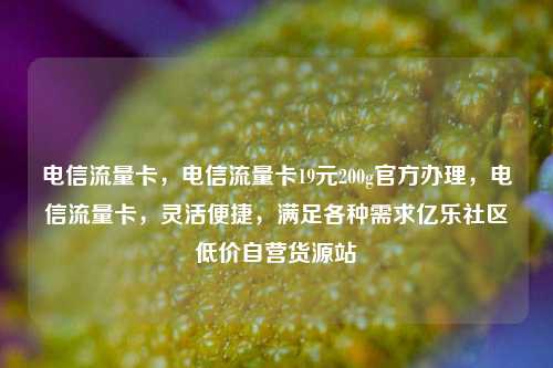 电信流量卡，电信流量卡19元200g官方办理，电信流量卡，灵活便捷	，满足各种需求亿乐社区低价自营货源站  第1张
