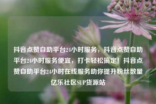 抖音点赞自助平台24小时服务，抖音点赞自助平台24小时服务便宜，打卡轻松搞定！抖音点赞自助平台24小时在线服务助你提升粉丝数量亿乐社区SUP货源站  第1张