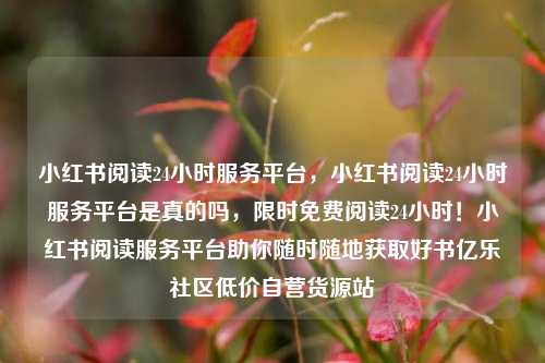 小红书阅读24小时服务平台，小红书阅读24小时服务平台是真的吗	，限时免费阅读24小时！小红书阅读服务平台助你随时随地获取好书亿乐社区低价自营货源站  第1张