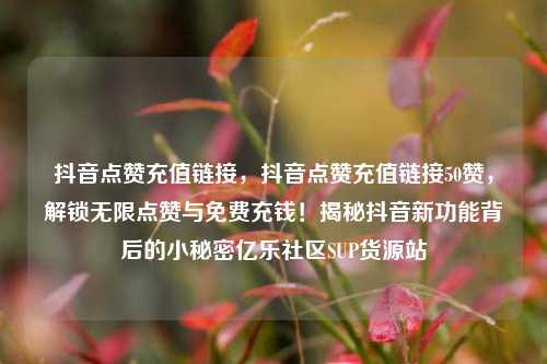 抖音点赞充值链接，抖音点赞充值链接50赞，解锁无限点赞与免费充钱！揭秘抖音新功能背后的小秘密亿乐社区SUP货源站  第1张