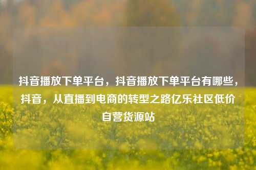 抖音播放下单平台，抖音播放下单平台有哪些	，抖音，从直播到电商的转型之路亿乐社区低价自营货源站  第1张