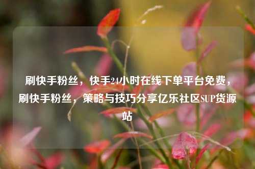 刷快手粉丝，快手24小时在线下单平台免费，刷快手粉丝	，策略与技巧分享亿乐社区SUP货源站  第1张