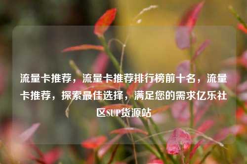 流量卡推荐，流量卡推荐排行榜前十名	，流量卡推荐，探索最佳选择，满足您的需求亿乐社区SUP货源站  第1张