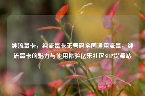 纯流量卡，纯流量卡无号码全国通用流量，纯流量卡的魅力与使用体验亿乐社区SUP货源站  第1张