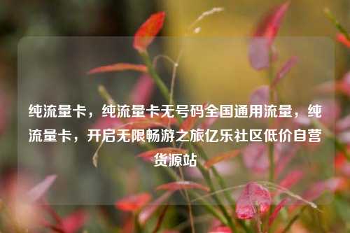 纯流量卡，纯流量卡无号码全国通用流量	，纯流量卡，开启无限畅游之旅亿乐社区低价自营货源站  第1张