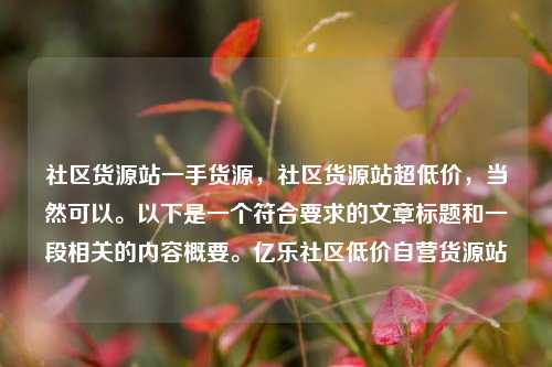 社区货源站一手货源，社区货源站超低价，当然可以。以下是一个符合要求的文章标题和一段相关的内容概要。亿乐社区低价自营货源站  第1张