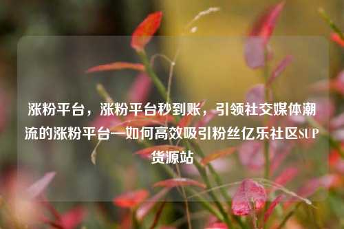 涨粉平台，涨粉平台秒到账，引领社交媒体潮流的涨粉平台—如何高效吸引粉丝亿乐社区SUP货源站  第1张