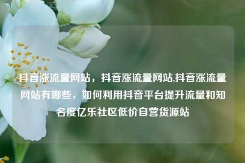 抖音涨流量网站，抖音涨流量网站,抖音涨流量网站有哪些，如何利用抖音平台提升流量和知名度亿乐社区低价自营货源站  第1张