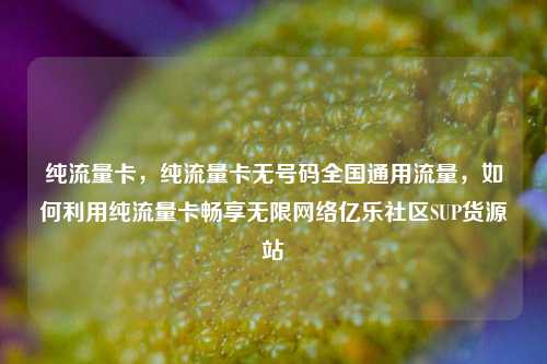 纯流量卡，纯流量卡无号码全国通用流量	，如何利用纯流量卡畅享无限网络亿乐社区SUP货源站  第1张