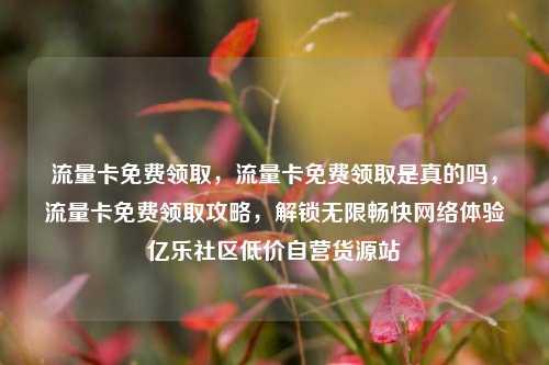 流量卡免费领取	，流量卡免费领取是真的吗，流量卡免费领取攻略，解锁无限畅快网络体验亿乐社区低价自营货源站  第1张
