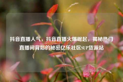 抖音直播人气，抖音直播火爆崛起，揭秘热门直播间背后的秘密亿乐社区SUP货源站  第1张