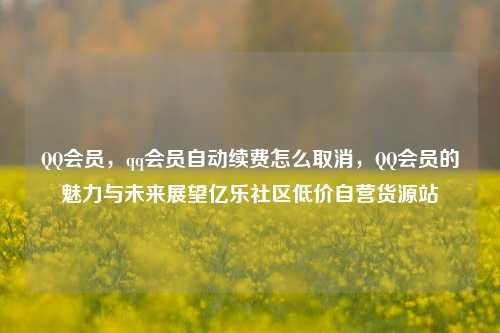 QQ会员，qq会员自动续费怎么取消，QQ会员的魅力与未来展望亿乐社区低价自营货源站  第1张