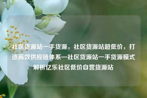 社区货源站一手货源，社区货源站超低价	，打造高效供应链体系—社区货源站一手货源模式解析亿乐社区低价自营货源站  第1张