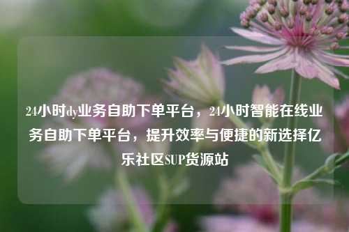 24小时dy业务自助下单平台，24小时智能在线业务自助下单平台，提升效率与便捷的新选择亿乐社区SUP货源站  第1张