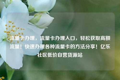 流量卡办理，流量卡办理入口，轻松获取高额流量！快速办理各种流量卡的方法分享！亿乐社区低价自营货源站  第1张