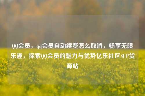 QQ会员	，qq会员自动续费怎么取消，畅享无限乐趣，探索QQ会员的魅力与优势亿乐社区SUP货源站  第1张