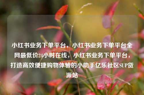 小红书业务下单平台，小红书业务下单平台全网最低价24小时在线，小红书业务下单平台	，打造高效便捷购物体验的小助手亿乐社区SUP货源站  第1张