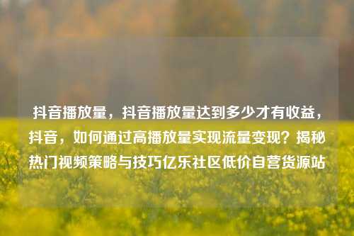 抖音播放量，抖音播放量达到多少才有收益	，抖音，如何通过高播放量实现流量变现？揭秘热门视频策略与技巧亿乐社区低价自营货源站  第1张