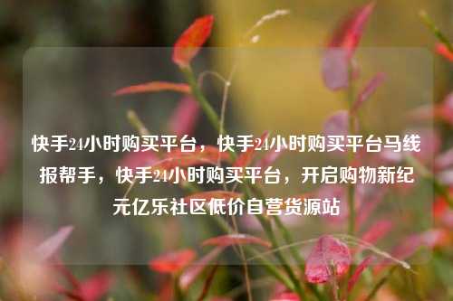 快手24小时购买平台，快手24小时购买平台马线报帮手，快手24小时购买平台，开启购物新纪元亿乐社区低价自营货源站  第1张