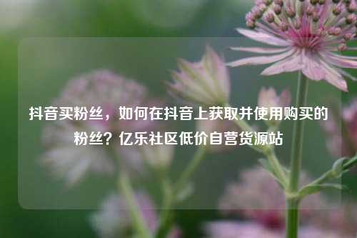 抖音买粉丝，如何在抖音上获取并使用购买的粉丝？亿乐社区低价自营货源站  第1张