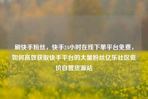 刷快手粉丝，快手24小时在线下单平台免费，如何高效获取快手平台的大量粉丝亿乐社区低价自营货源站  第1张